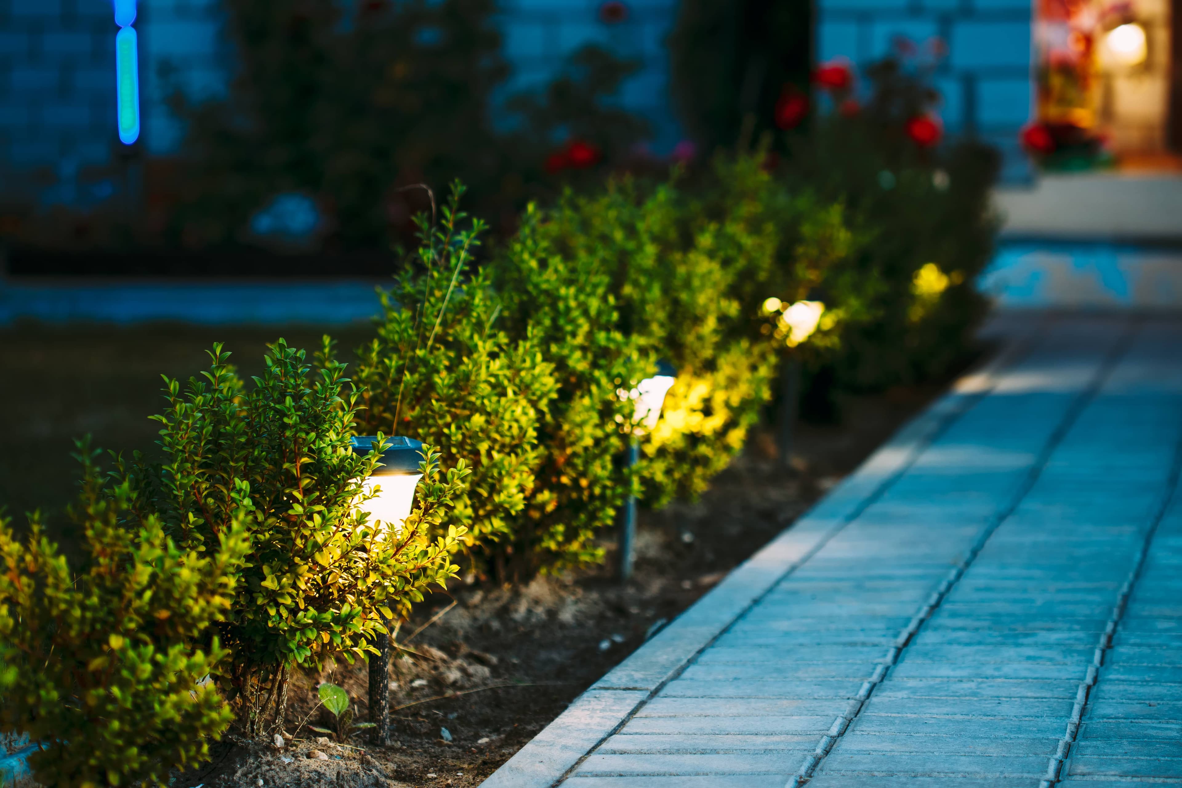 Path lights lining a garden bed beside a walkway at night