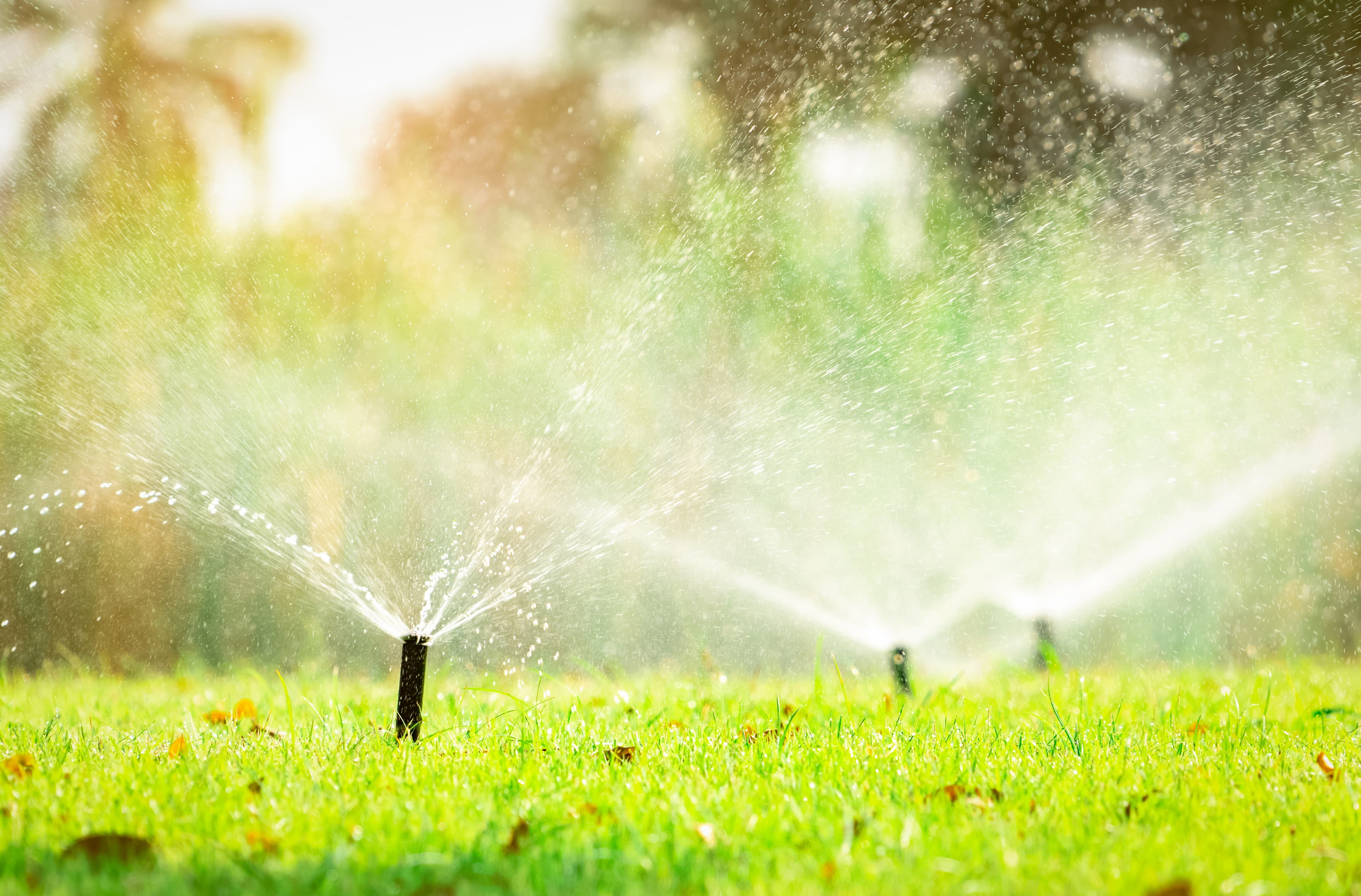 Close-up of sprinkler heads spraying water across a green lawn