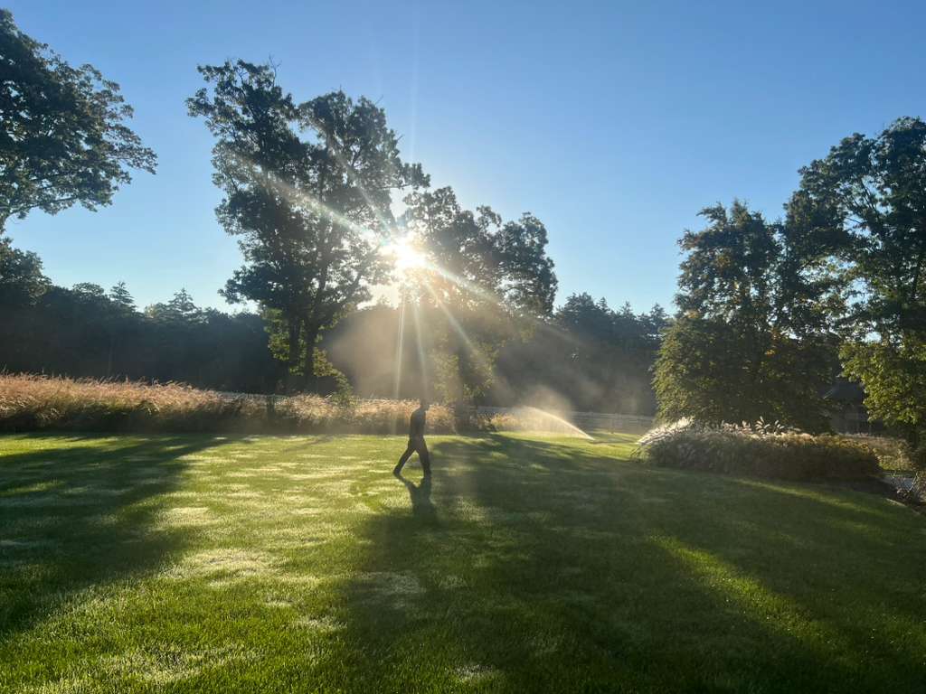 Sprinkler system running at sunrise across a residential lawn